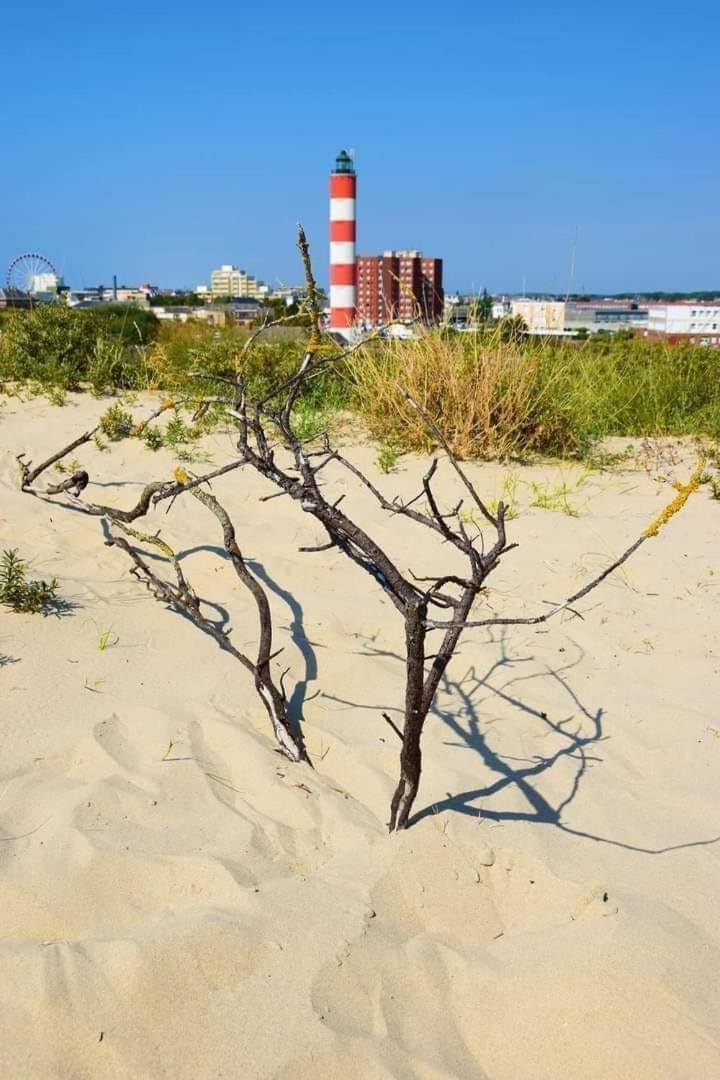L'Alteia - L'Appartement Les Pieds Dans L'Eau Avec Place De Parking Prive Et Acces Direct A La Plage Berck 외부 사진
